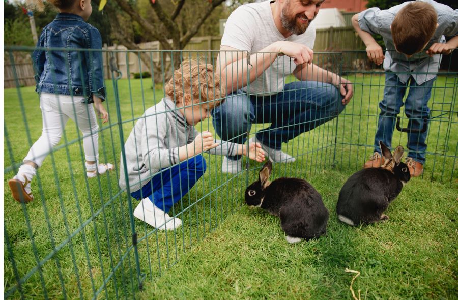 Family looking at rabbits in cage